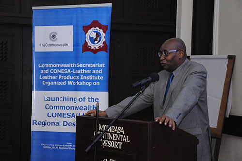 Prof.M. Mwinyihija, Executive Director of COMESA - Leather and Leather Products Institute, Making Preview of the LLPI's Role the RDS
